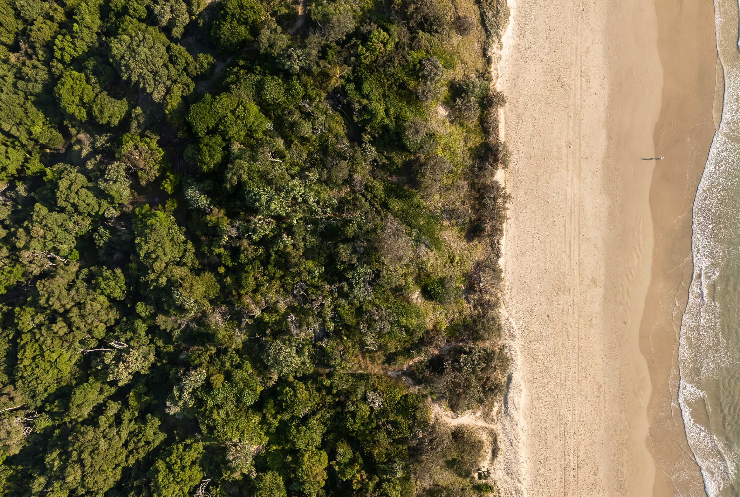 Aerial view of the coastal treeline meeting Peregian Beach